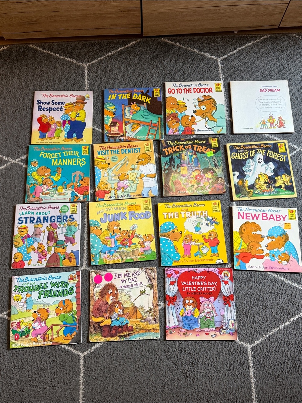 The Berenstain Bears & Mercer Mayers Little Critters - vinted books